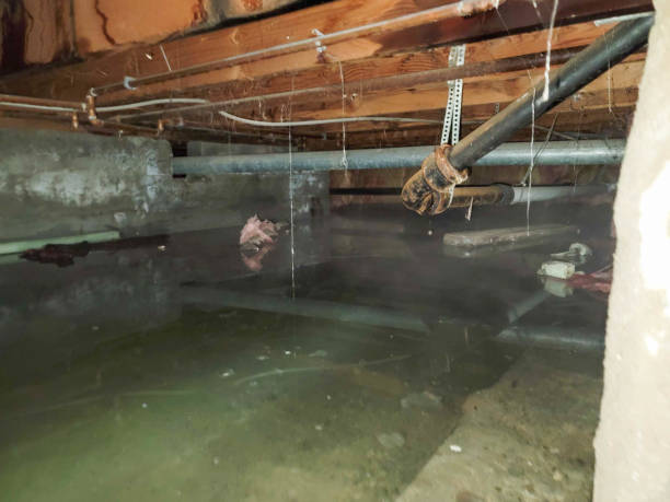 Best Residential water damage restoration  in Bullard, TX